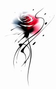 450EBD7D-25F1-4B70-87EB-D48F071F4F35